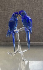 macaws for sale  WALSALL