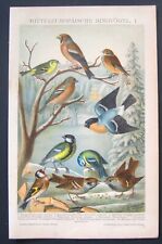 chromolithographie gebraucht kaufen  Hilden