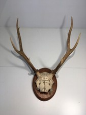 Vintage scottish deer for sale  MORETON-IN-MARSH