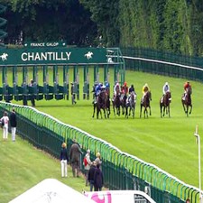Methode turf turfinvest d'occasion  France