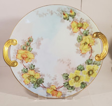 Hand painted porcelain for sale  Asheville