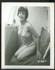 Foto Risqué original dos anos 1960 4 x 5 linda morena em lingerie escassa vv comprar usado  Enviando para Brazil