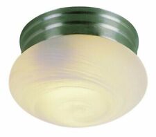 Trans globe lighting for sale  Branchdale