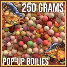 Bulk pop boilies for sale  SELBY