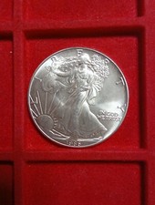 Usa dollaro american usato  Verdellino
