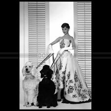 Photo .007140 audrey d'occasion  Martinvast