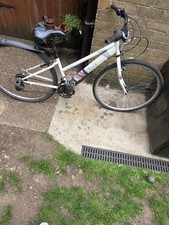 Apollo excelle women for sale  LINCOLN