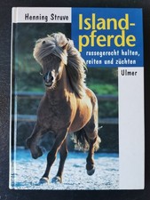 Islandpferde rassegerecht reit gebraucht kaufen  Ratzeburg-Umland