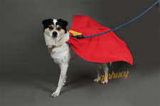 Superman superdog cape d'occasion  Expédié en Belgium