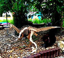 Dino puzzle legno usato  Spedire a Italy