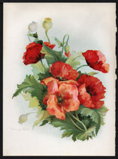 C1907 tiny frances for sale  Spokane