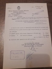Milizia volontaria sicurezza usato  Lucca