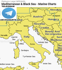 Navionics platinum plus usato  Italia