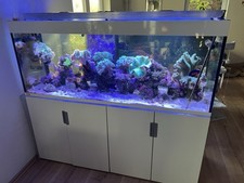 Eheim inspiria 500 gebraucht kaufen Eheim inspiria 500 gebraucht kaufen  Dußlingen