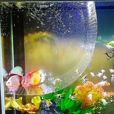 Fish tank breeding for sale  UK