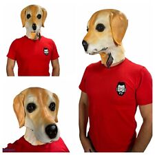 Labrador golden masque d'occasion  Expédié en France