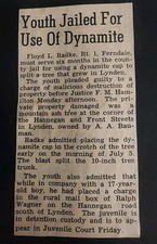 Incrível BAD BOY Álbum de Fotos Vintage ScrapBook CARROS, ARRISCADOS, MULHERES, DÉCADA DE 1950 comprar usado  Enviando para Brazil