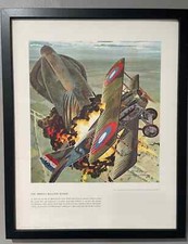 Arizona balloon buster for sale  Greenville