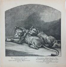 Gravure xviiie lionne d'occasion  Le Cannet