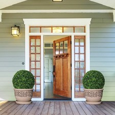 Artificial boxwood balls for sale Artificial boxwood balls for sale  IPSWICH