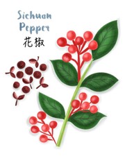 Sementes raras de pimenta Szechuan/Sichuan (Zanthoxylum Simulans) - 20 sementes  comprar usado  Enviando para Brazil