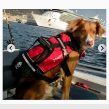 Size crewsaver pet for sale  LYBSTER