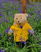 Horace alresford bear for sale  BRISTOL