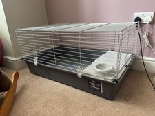 Pets home grey for sale Pets home grey for sale  SURBITON