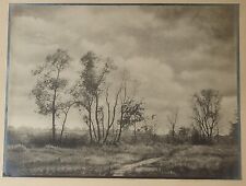 1935 landscape trees for sale  Marine City
