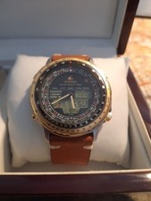 Citizen wingman sky1 for sale  HASTINGS