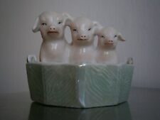 Sel poivre cochons d'occasion  Toulouse-