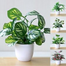 Usado, Plantas verdes artificiais falsas em vaso jardim casa decoração escritório interior exterior comprar usado  Enviando para Brazil