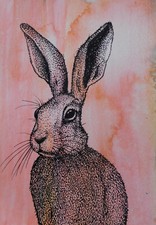 Original hare watercolour for sale  MERTHYR TYDFIL