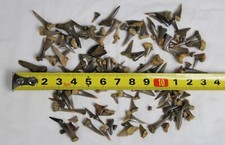 B10 140 haifischzähne gebraucht kaufen  Bad Buchau