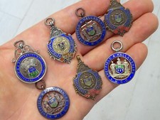Antique sheffield hallamshire for sale  NEWCASTLE UPON TYNE