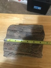 Petrified wood log for sale  Saint Peters