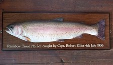 Taxidermy rainbow trout for sale  USK