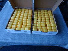 200 leere eier gebraucht kaufen  Speyer