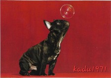 534 cartolina bulldog usato  Spedire a Italy