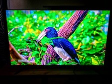 Sony bravia kd55a8 gebraucht kaufen  Garbsen