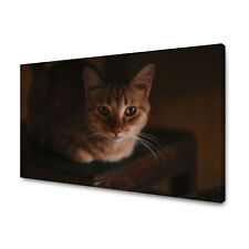 Canvas leinwandbilder xxl gebraucht kaufen  Großröhrsdorf