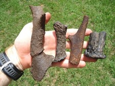 Deer antler bases for sale  Tallahassee