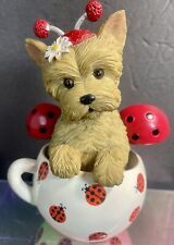 Cute bug yorkie for sale  Mena