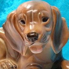 Dachshund lab dog for sale  Wichita