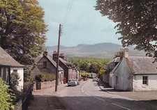 Main street campsie for sale  WARWICK