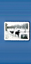 Found photo 8179 for sale  Lakewood