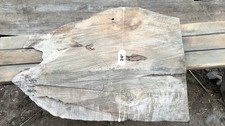 Splalted maple burl for sale  Packwood