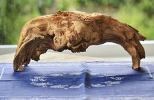 Baumwurzel wurzel höhle gebraucht kaufen  Unterreichenbach