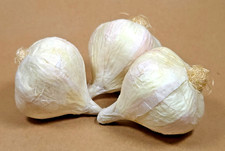 Realistic artificial garlic for sale  Freeport