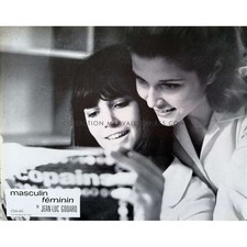 Masculine feminine french d'occasion Masculine feminine french d'occasion  Villeneuve-lès-Avignon